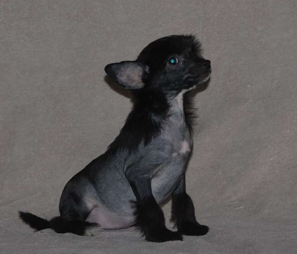 Magic of Success Delinda Long Kiss