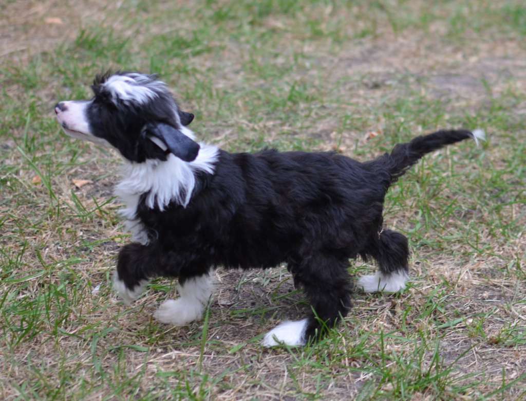 Magic of Success Dustin Daily Smile