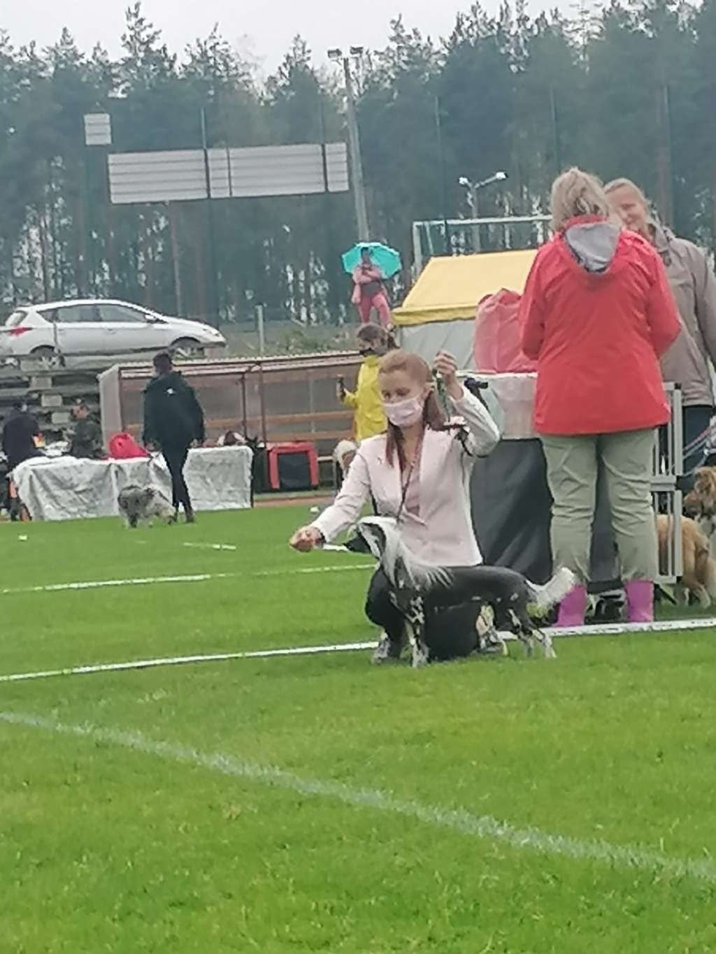 Pideraq's Miss Mayonnaise