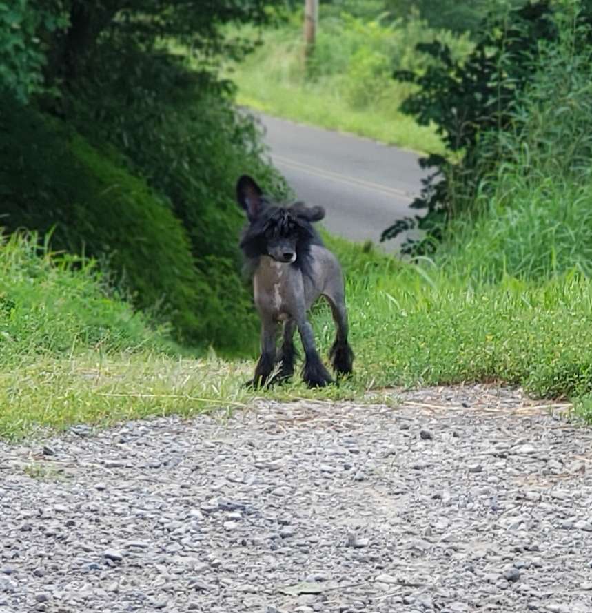 Cosmic's Long Way From Home