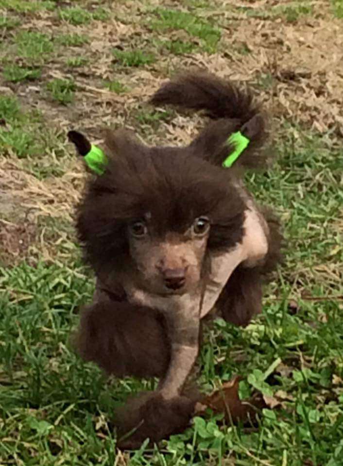 Jewels Cafe Macchiato