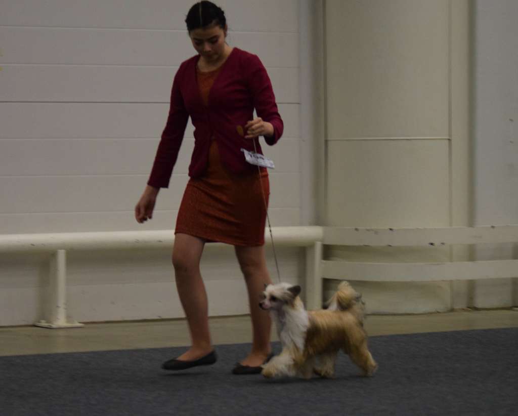 Black-Diva's Proud To Be Me