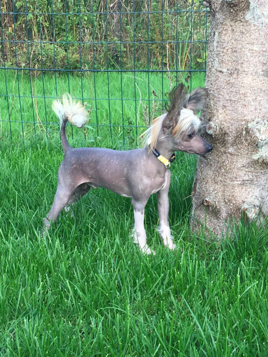 Qing Jamal of Livin la Vida Loca