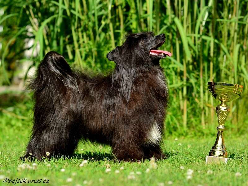 Fidorka ze Zatopené chajdy