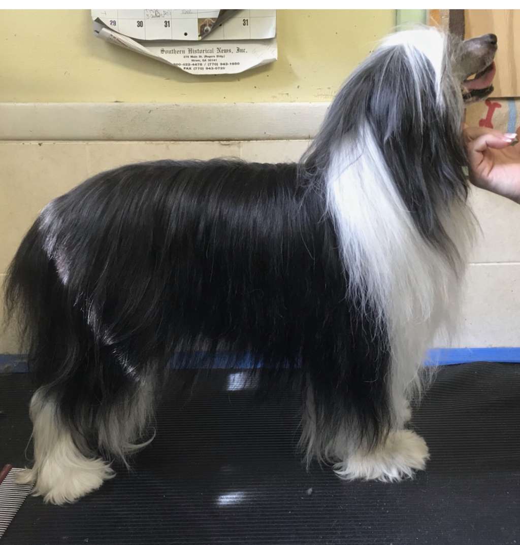 Julandi's Bad Bad Leroy Brown