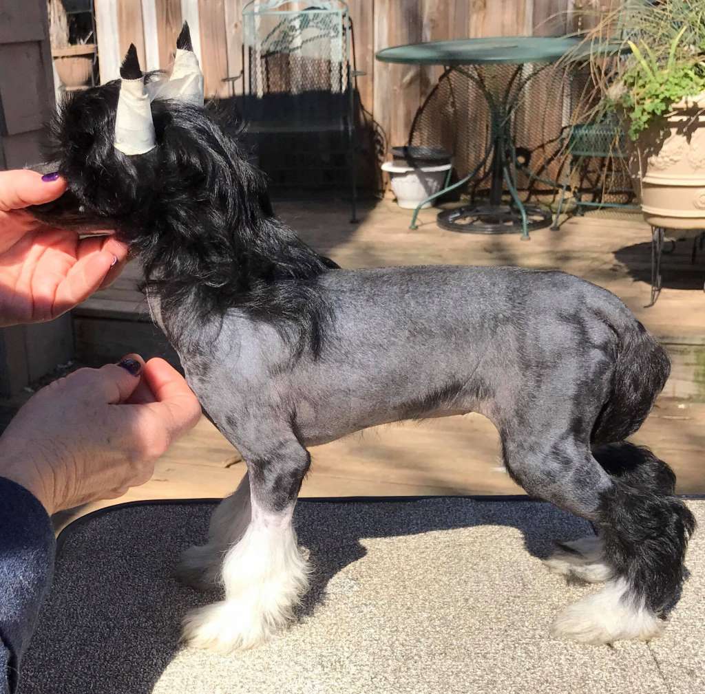 Rosebriar's Made Ya Look