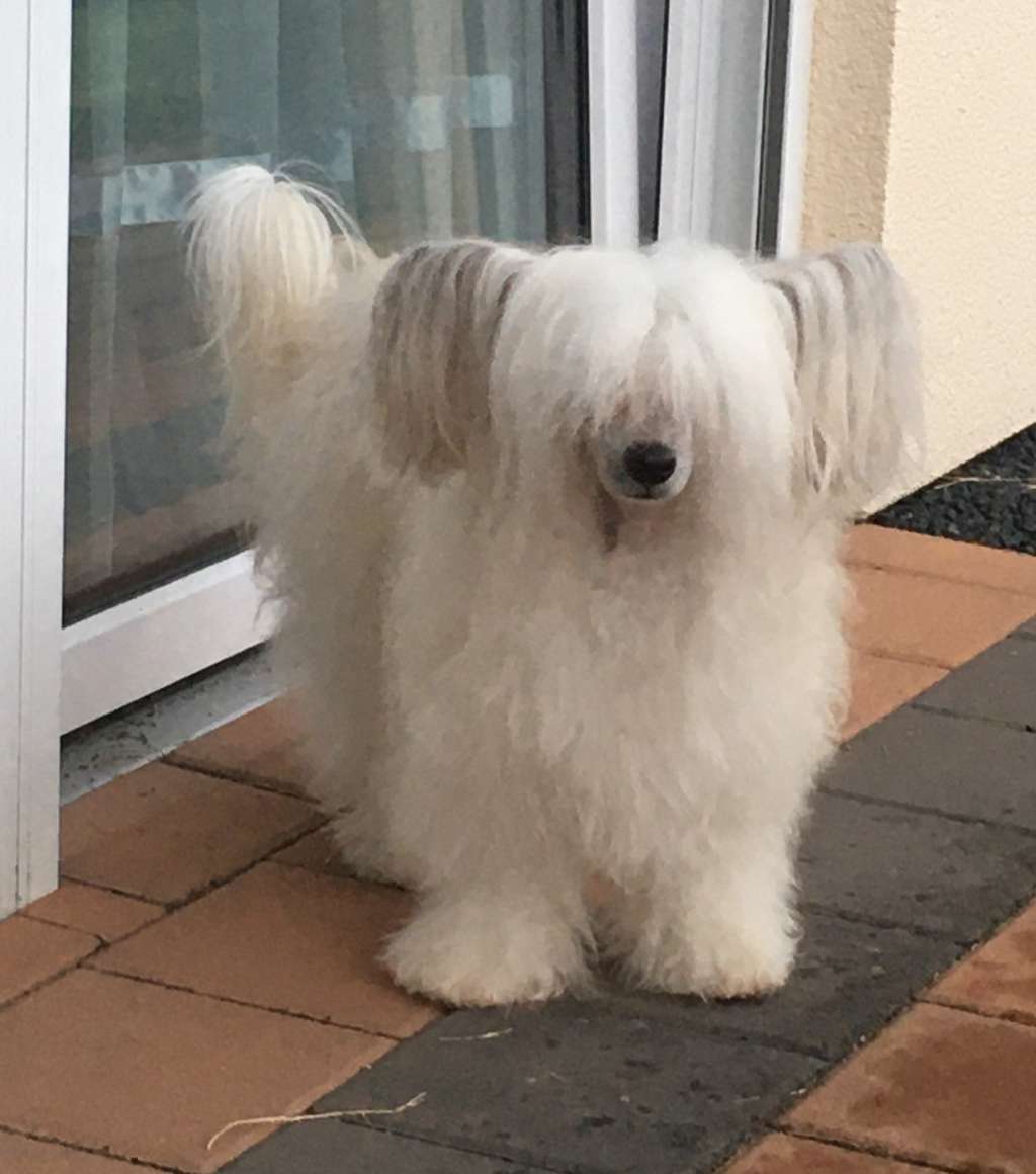 Brusnika Winning Smile