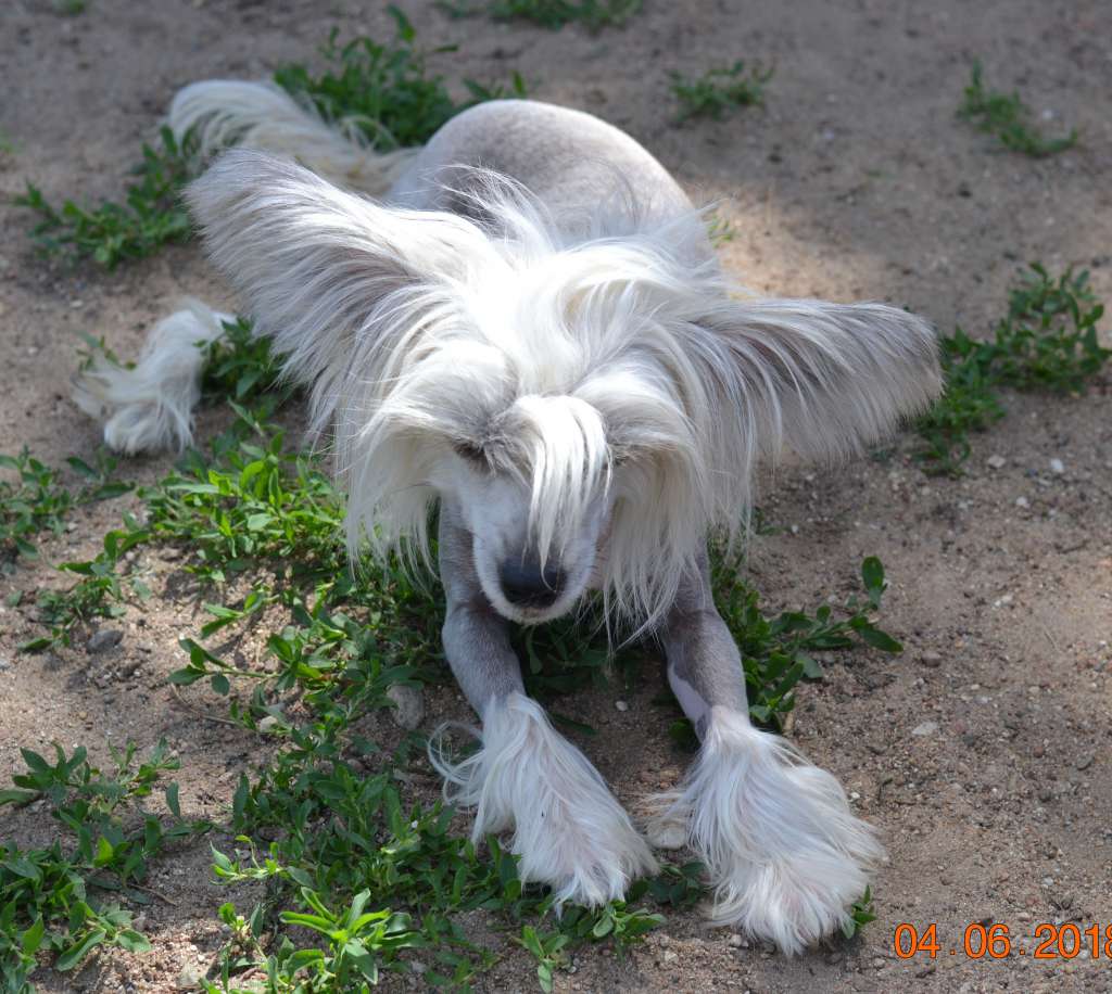 Blondy in Law Winning Smile