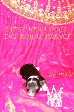 Cat's China Dogs The Royal Prince