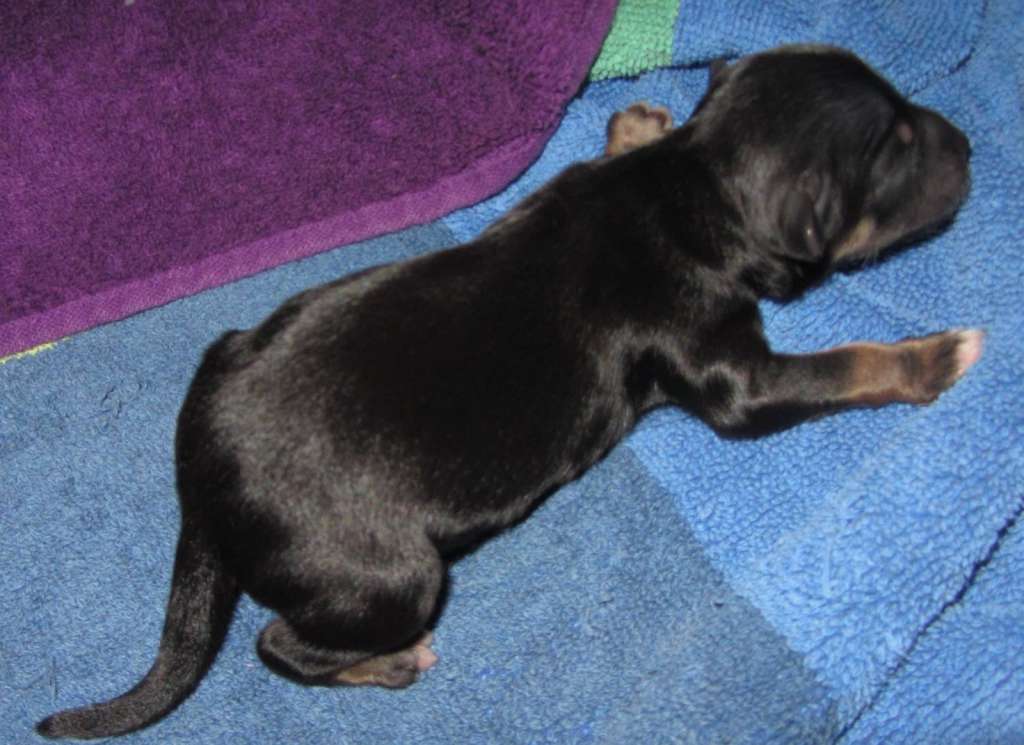 Shi Huangdis Jacob Black