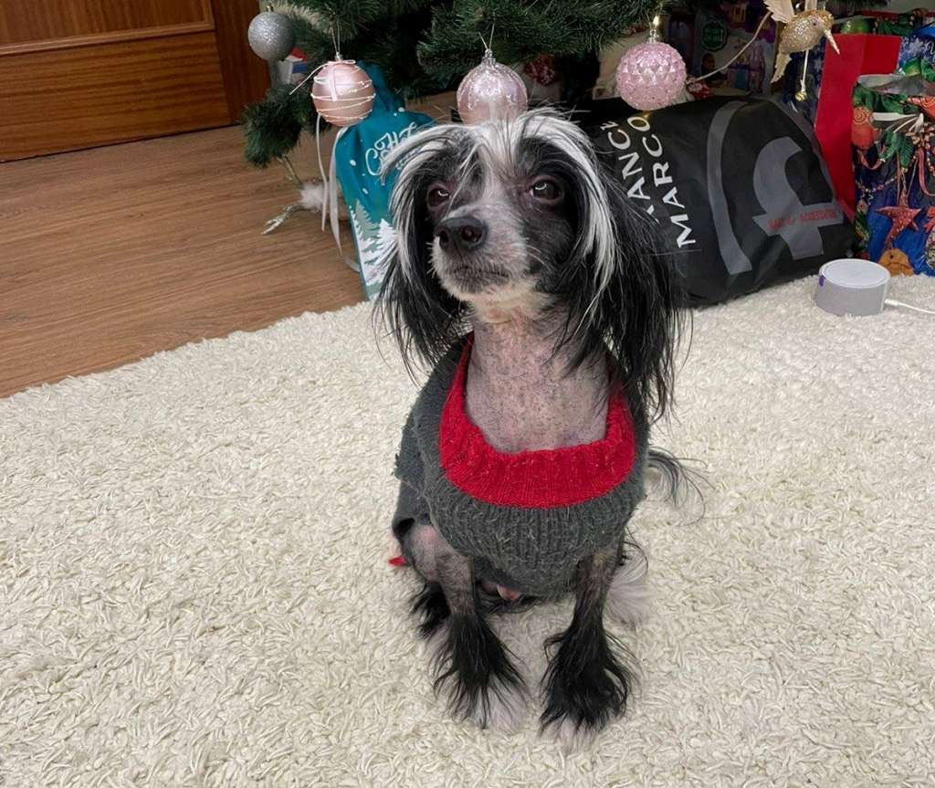 Sofiris Show Jour De Fete