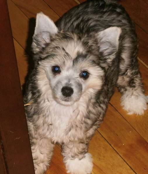 Windwater Flirt in a Skirt