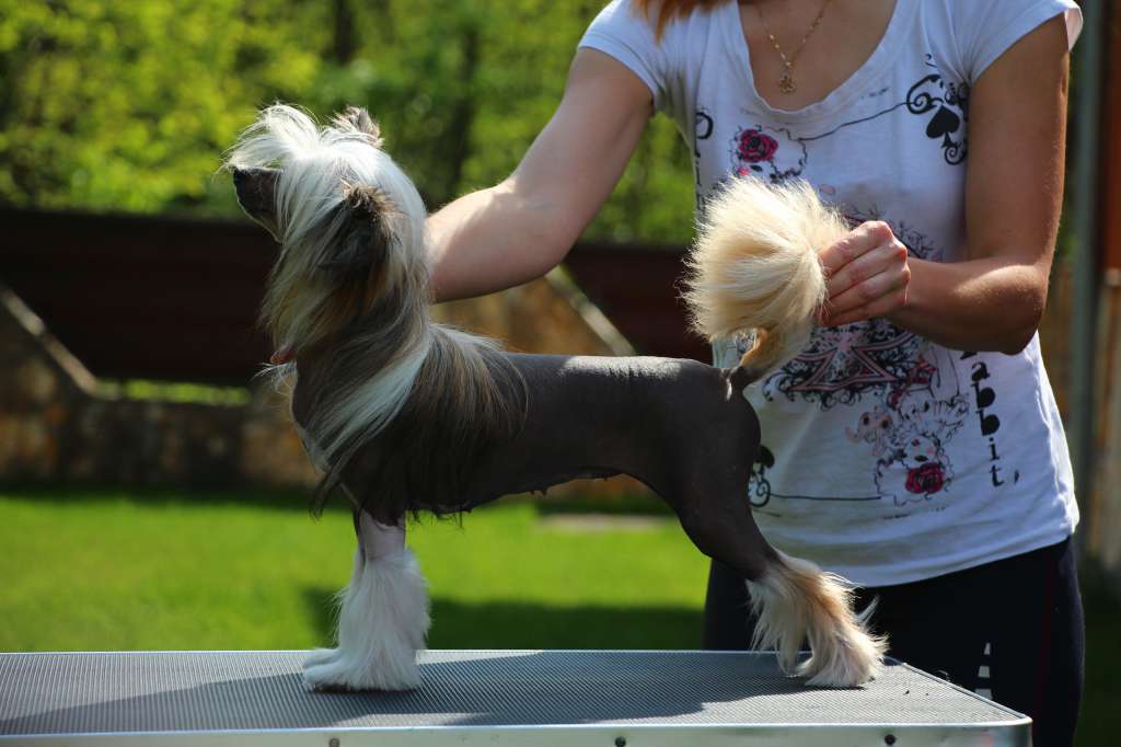 Licky Lips Glamour Girl