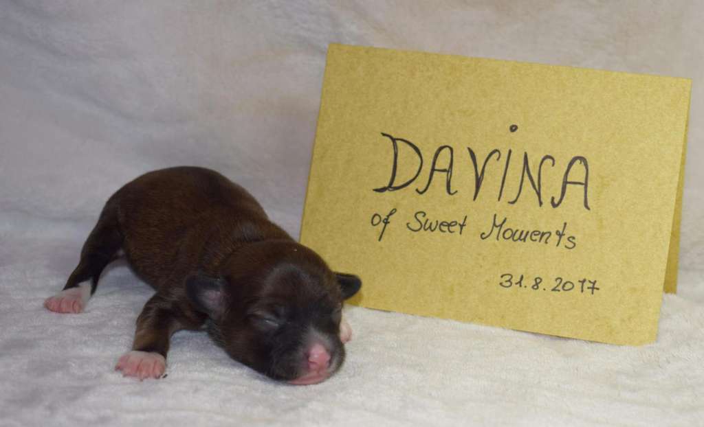 Davina Sweet Moments