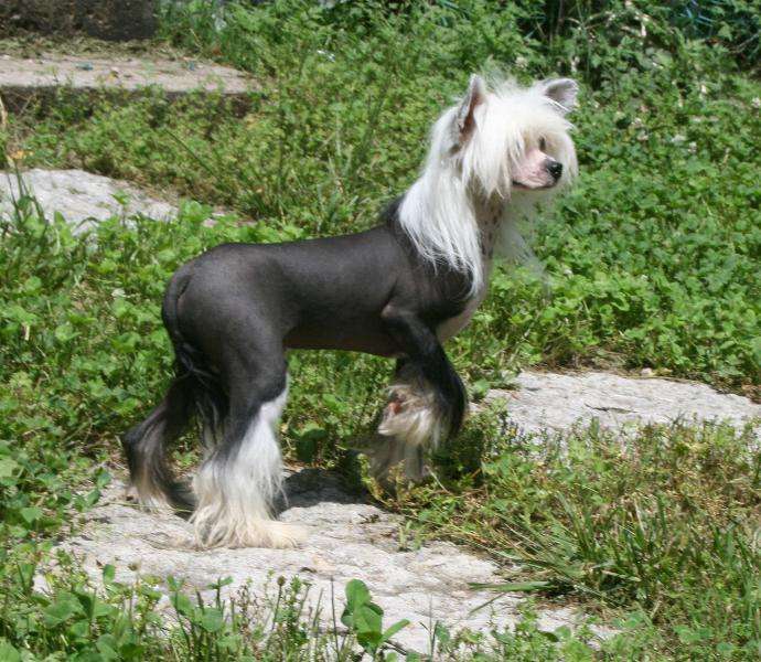 Spiritgaea's Odin High God of Asgard