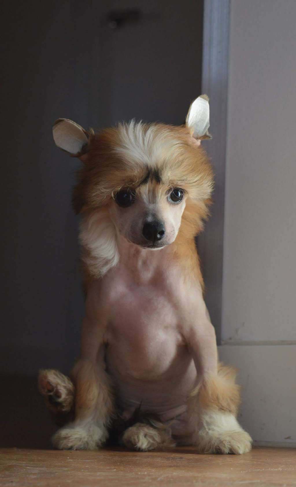 Magnus Staff Unique Creature