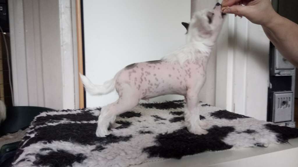 Bemu's He Is My Hero