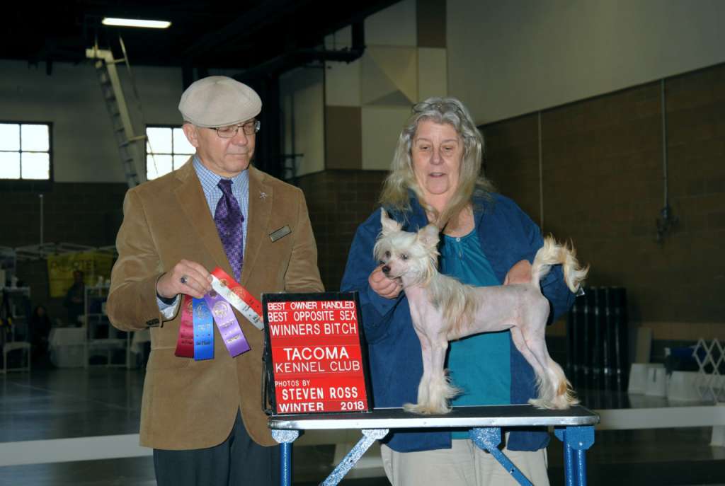 Castlecoves Fire In The Night