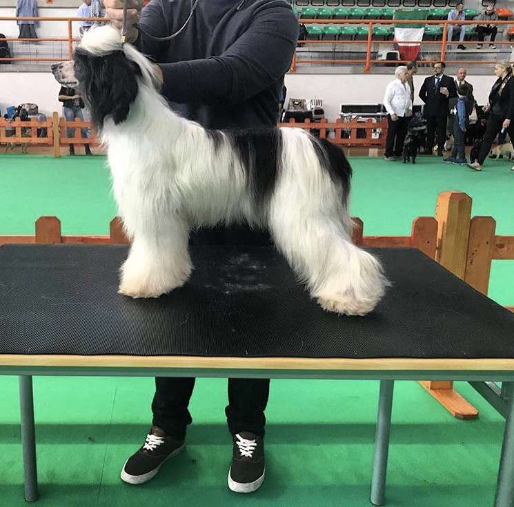 Habanero Full Optional