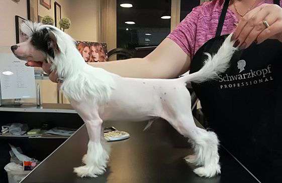 Fundoklia-völgyi Kaszanics Nirvána