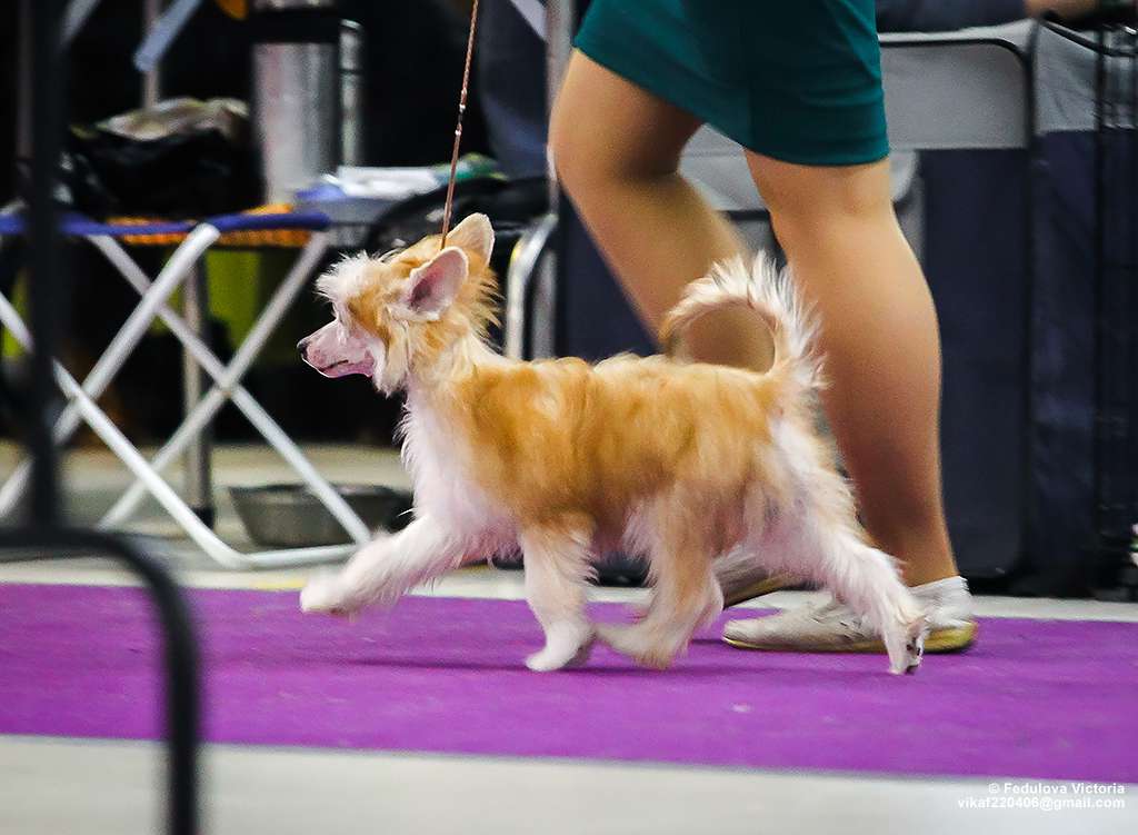 Grand Passage Vilmont