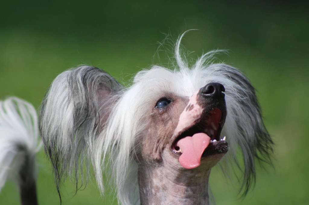 Secret I Ty Bedziesz Moja Dama