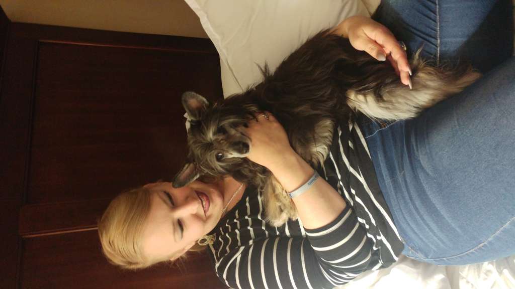 Famous Night Phoenix