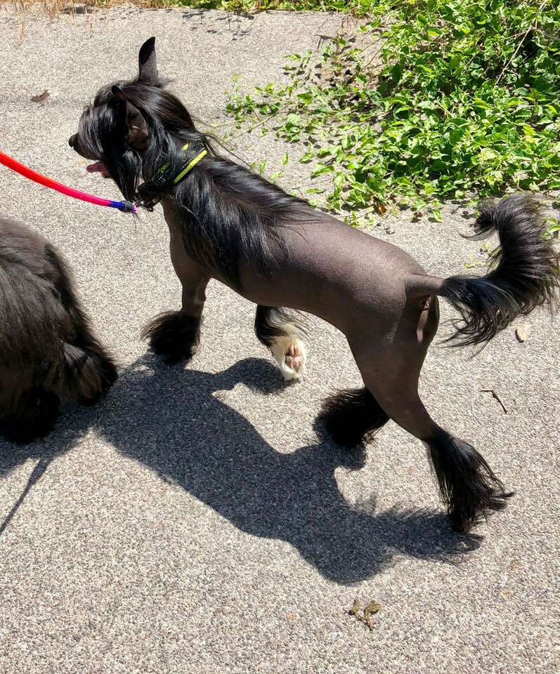 HUGO BOSS Caramella's Family