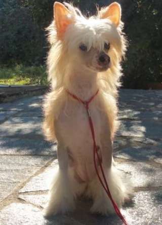 Chic To Chic Taormina