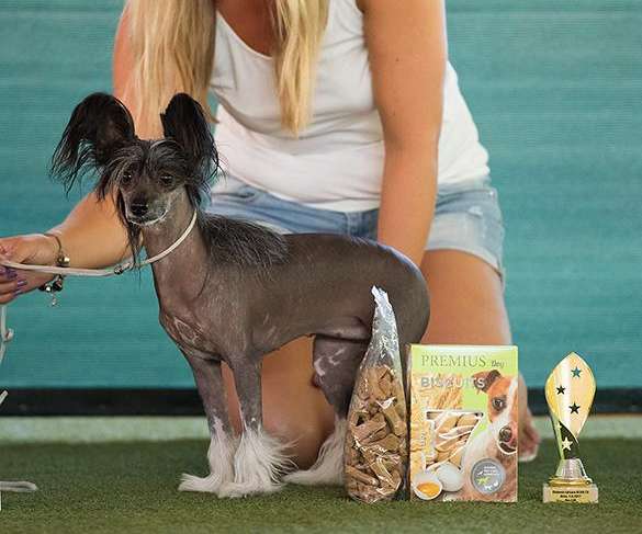 Lahyannes Lira Mirabilis Gemma