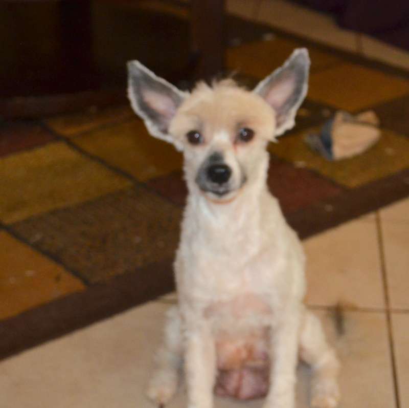 Sunshine On The Horizon By Jove