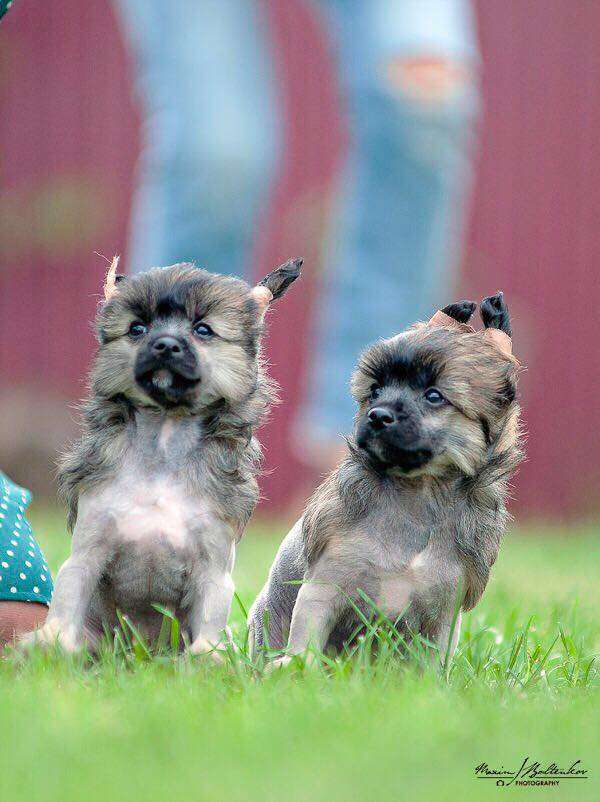 Washington The Best Of The World