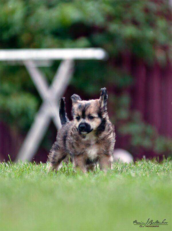 Wismar From The Heart