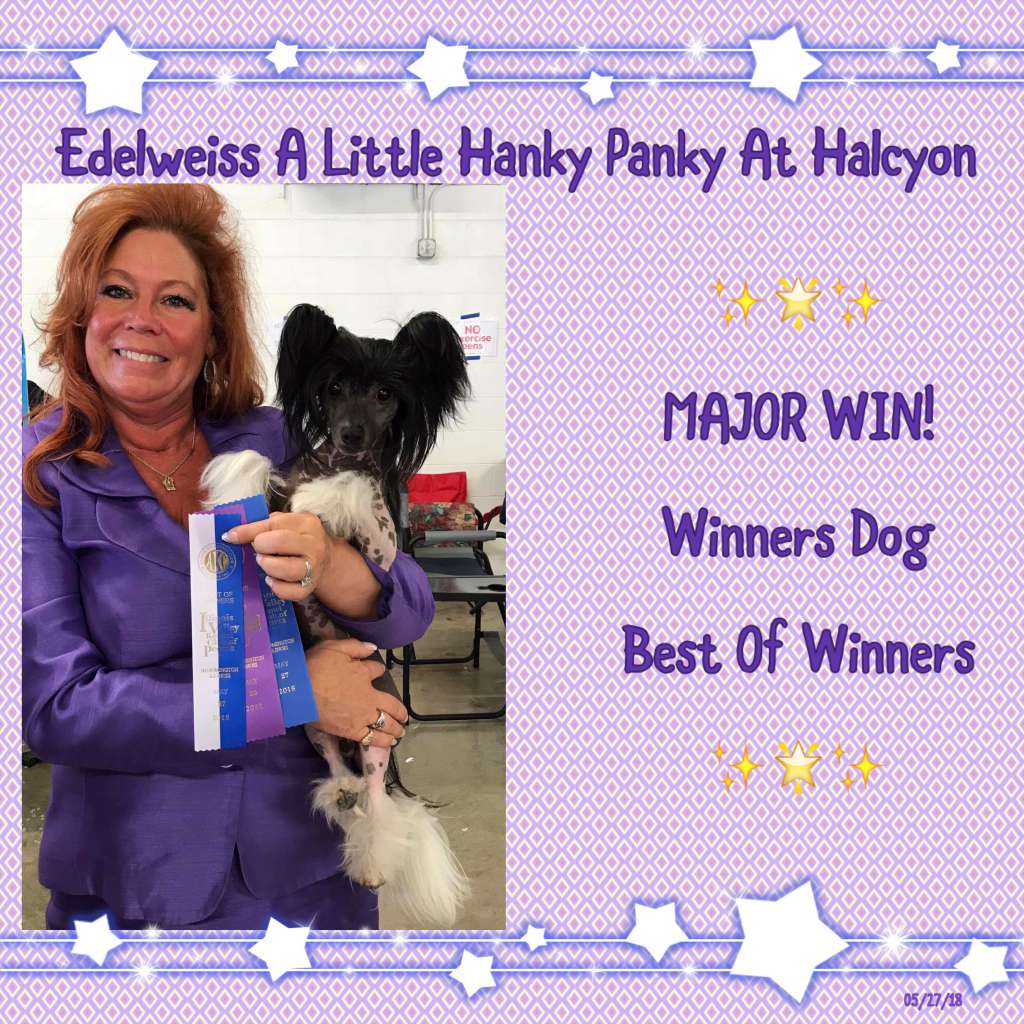 Edelweiss A Little Hanky Panky At Halcyon