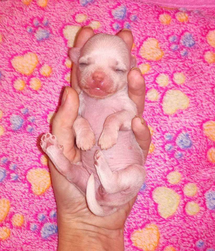 Naked Stars Glitter Is My Color