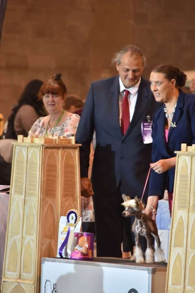 Qzlatalina of the loving dols