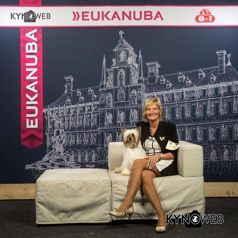 Qazim of the loving dols