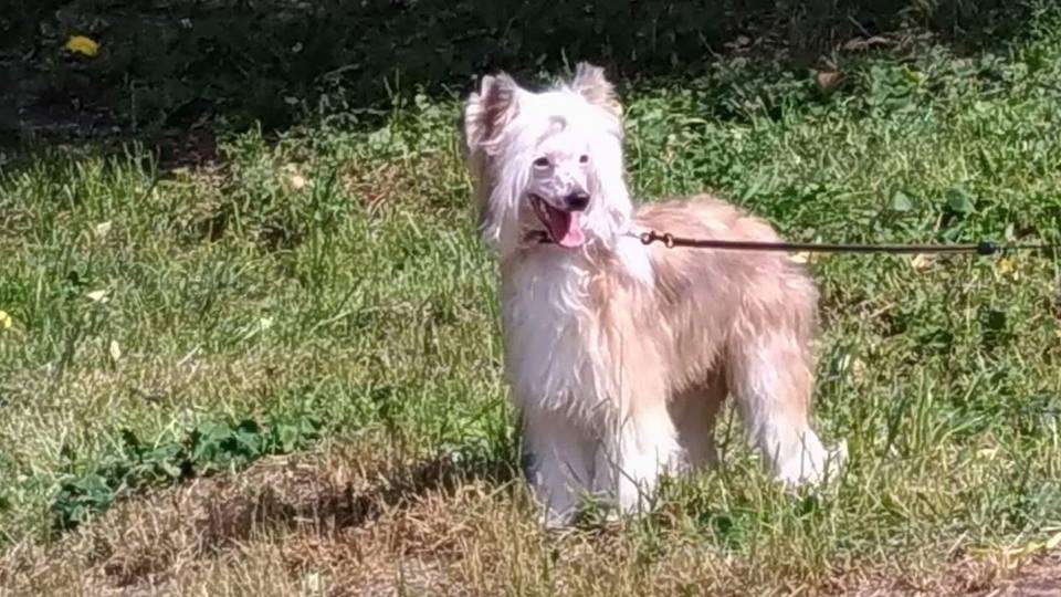 Poale Ell Barthalamew