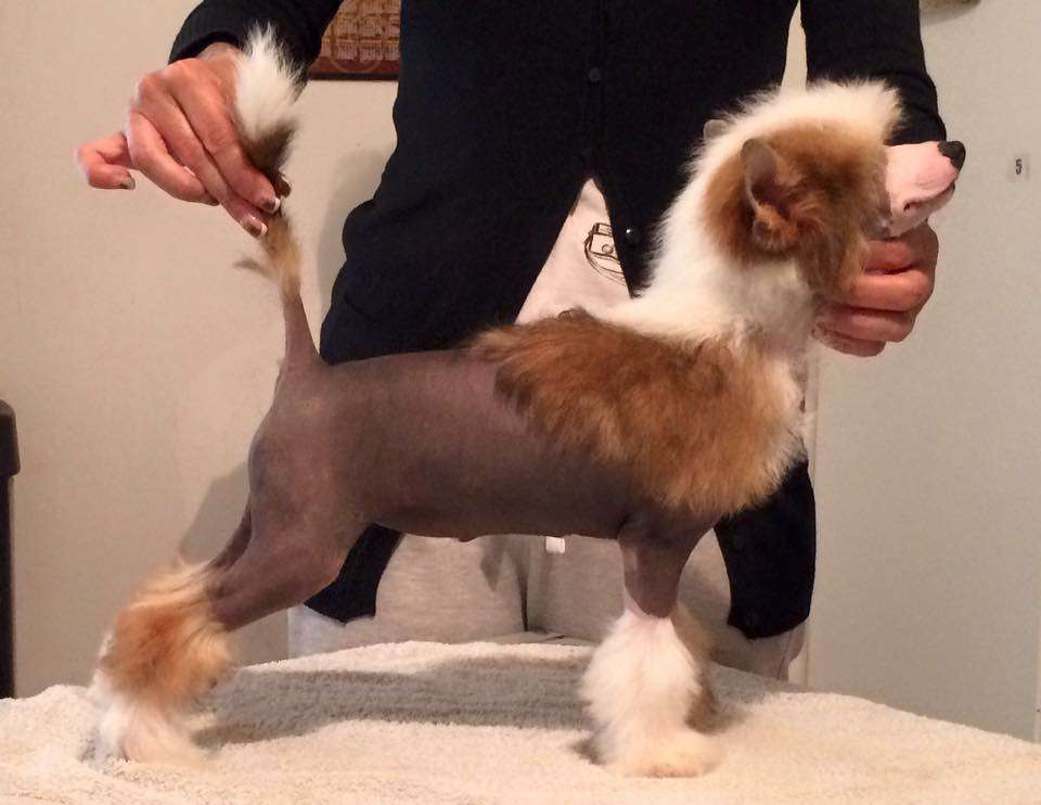 Ki dea della terra di casa megi