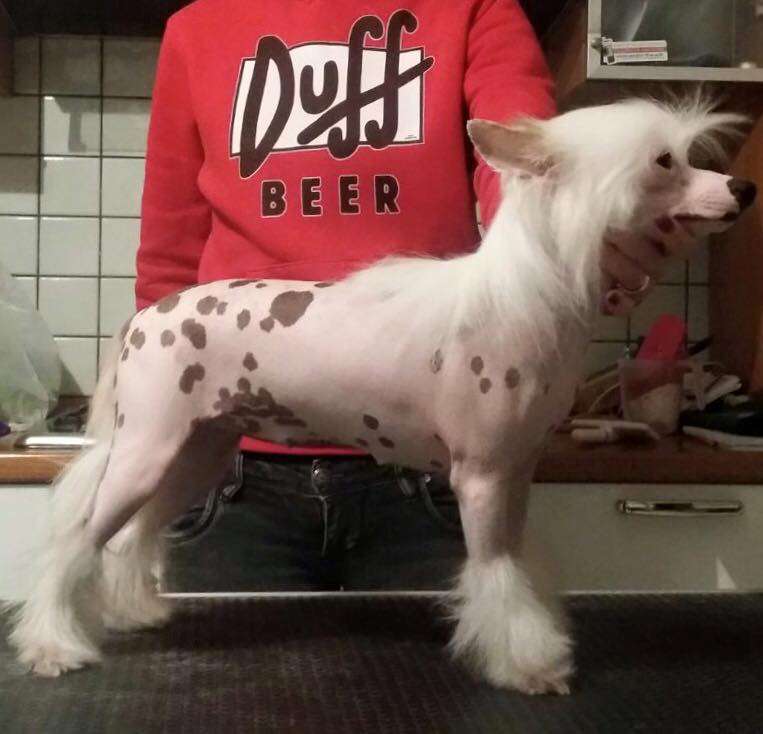 Katrin a pois di casa megi