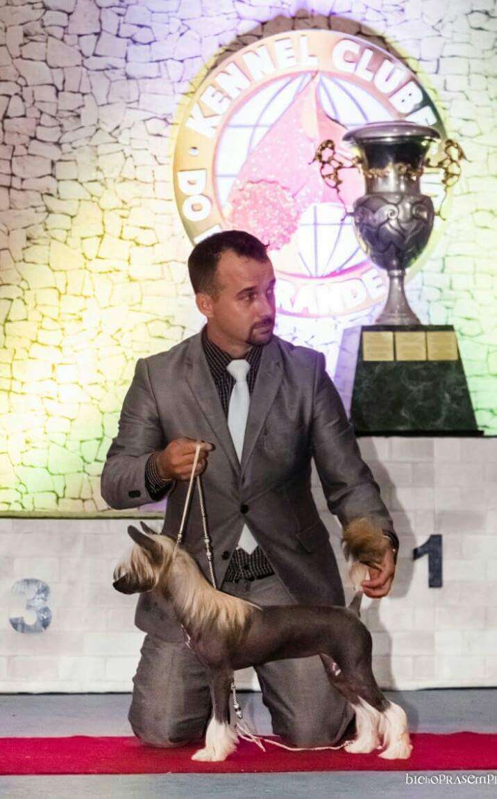 Lapinus Rot Hot Ruby