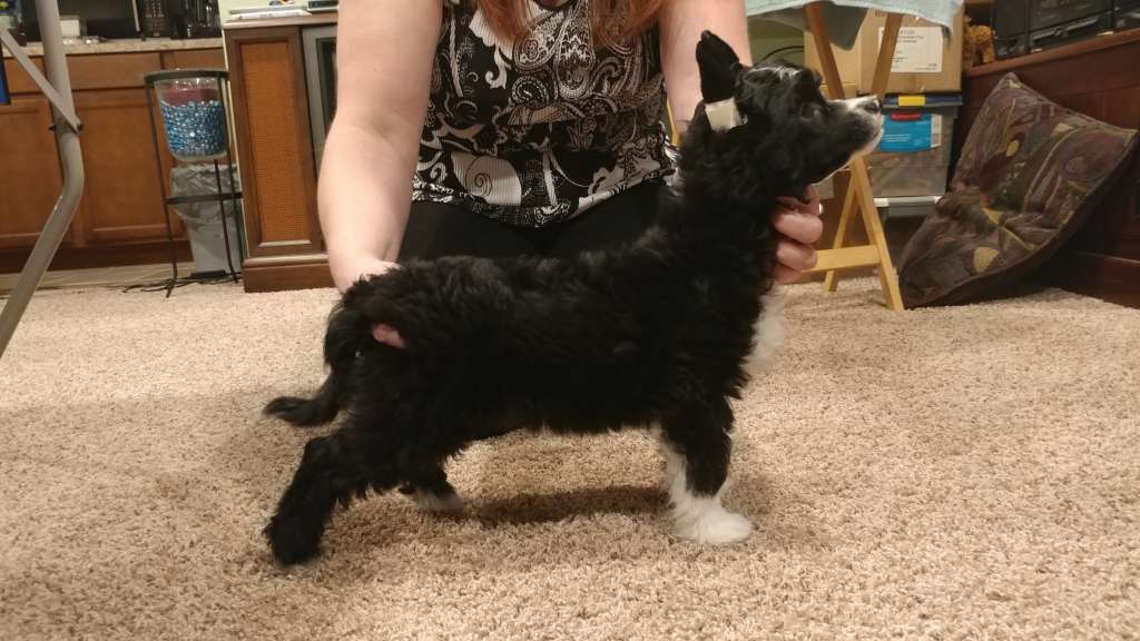 Celestial Leave The Night On