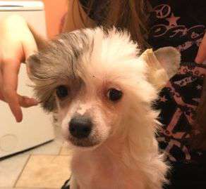 Fundoklia-völgyi Kaszanics Gaston