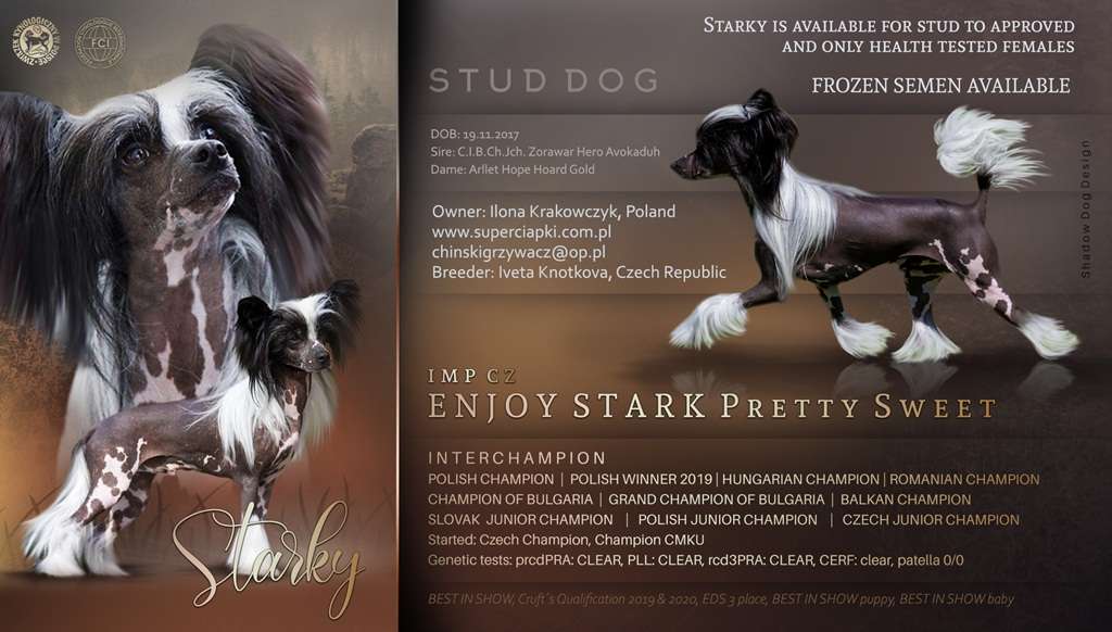 Enjoy Stark Pretty Sweet