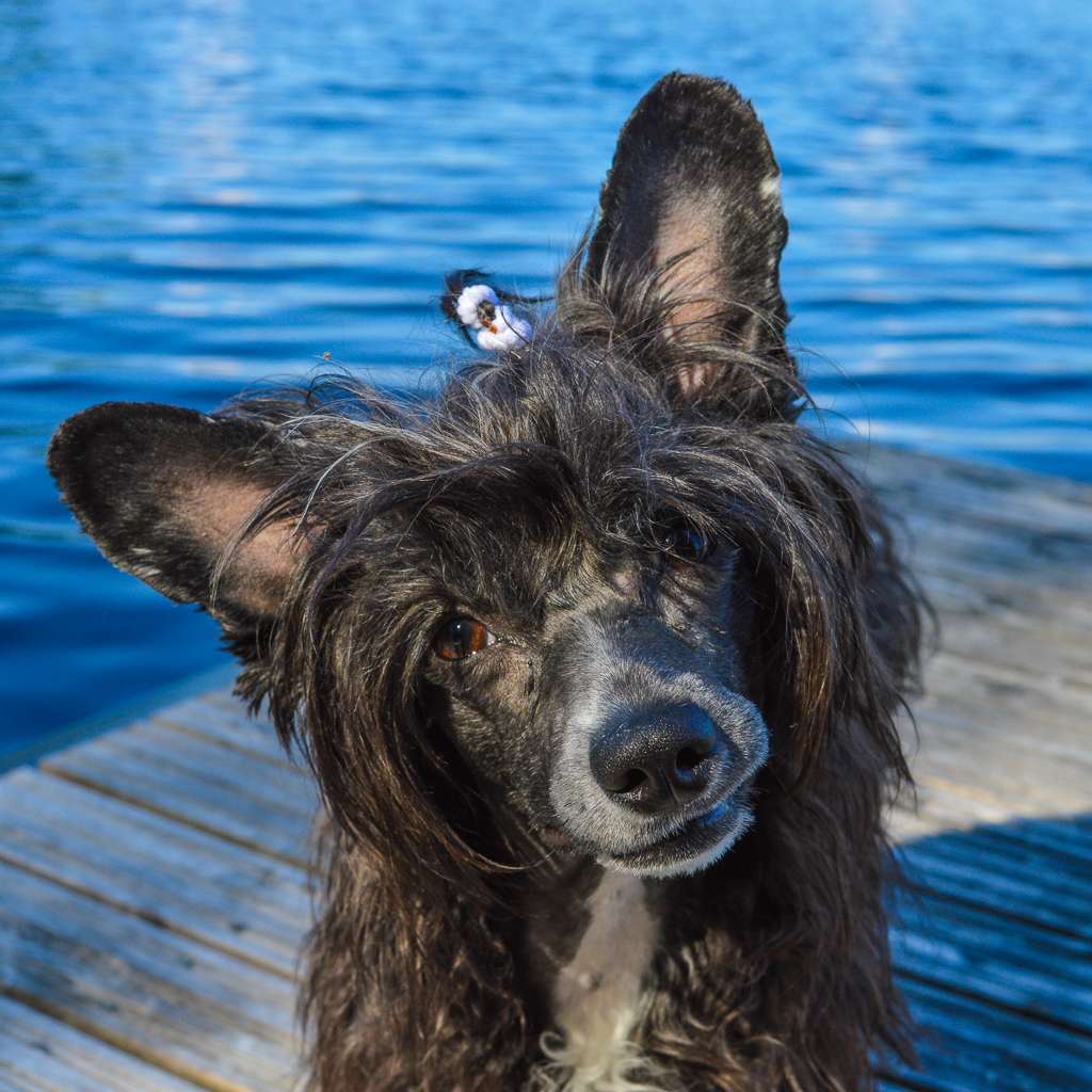 Maybell's Snow White