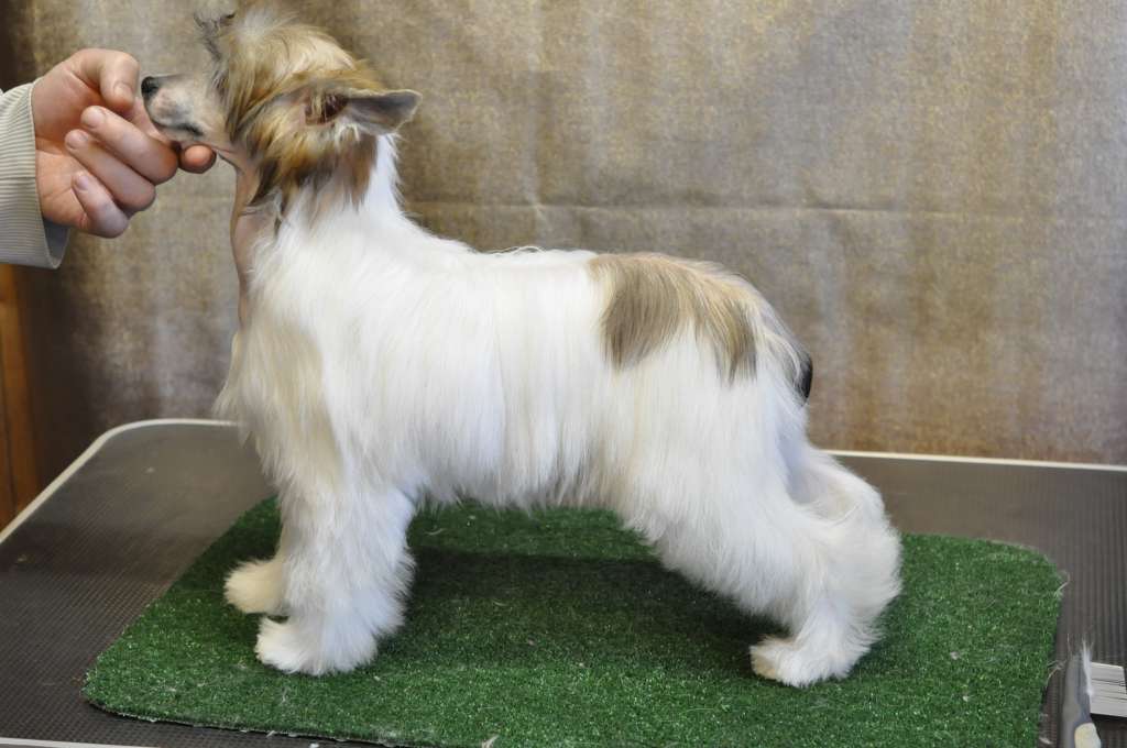 Darling Winning Smile