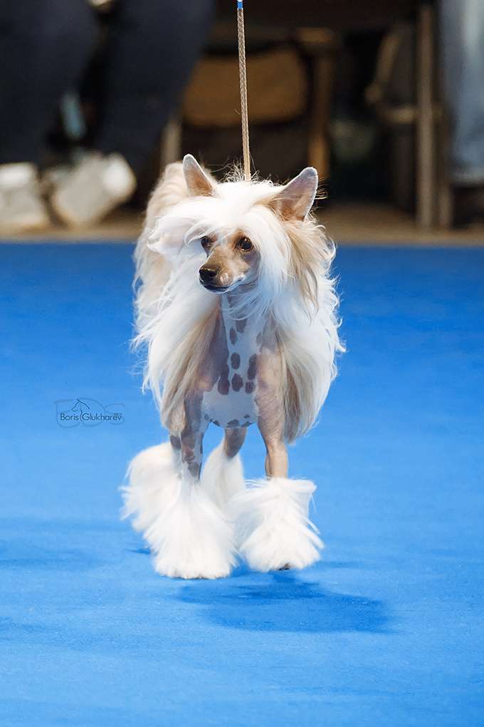 Kidsolarus Bingo At IncantoDelMondo