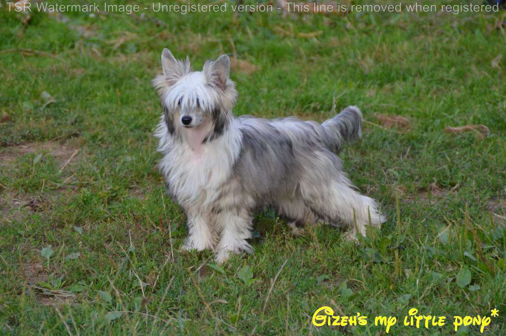 Nalya Born to be the best