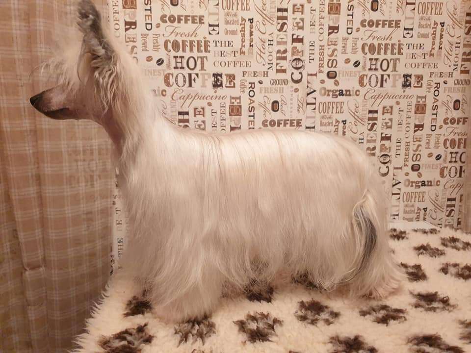 Arte Figure Nobody But Me