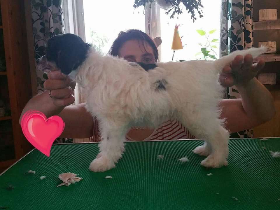 Team Moalands Dream No More